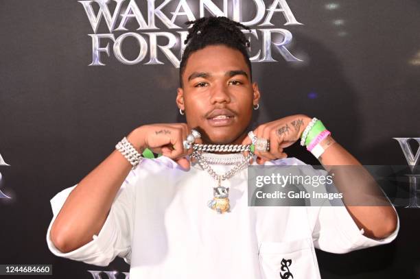T. Lucas Raps 328 Black Panther Movie Premiere In South Africa Stock Photos, High-Res ...