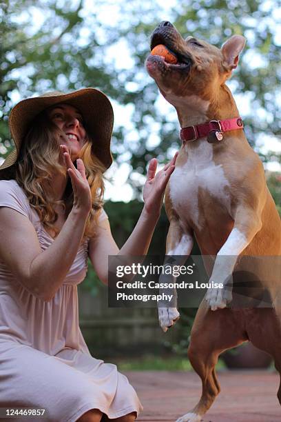 Animal Clapping Animal Clapping Photos and Premium High Res Pictures - Getty Images