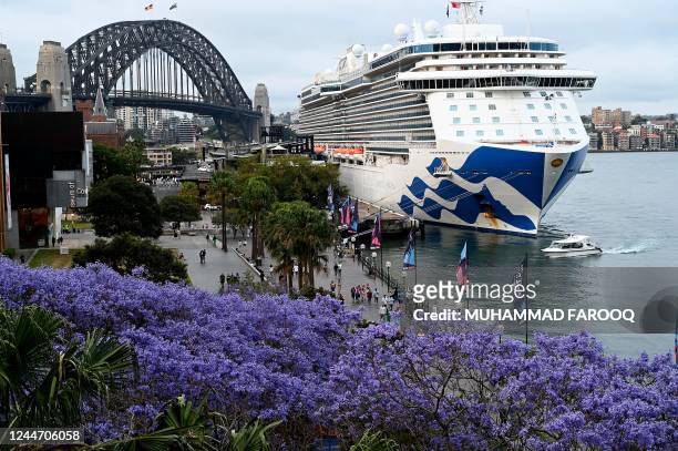 The Majestic Princess cruise ship is seen docked at the International Terminal on Circular Quay in Sydney on November 12, 2022. - The Majestic...