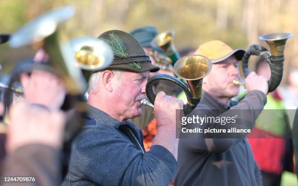 November 2022, Saxony, Torfhaus: Hunting horn blowers play after a drive hunt at the so-called track. The hunting season has begun in Germany. In the...
