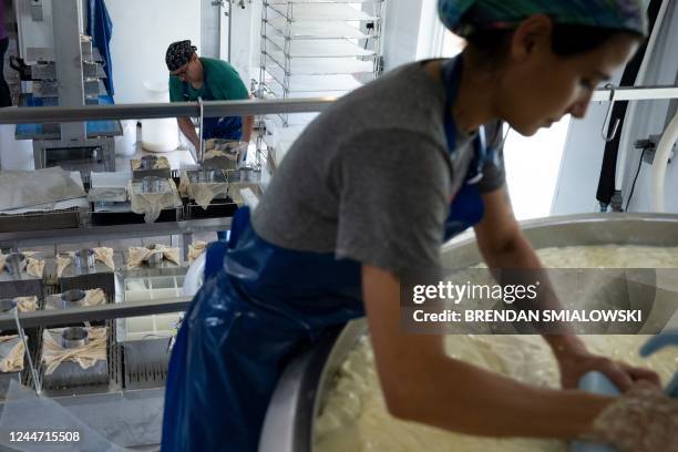 Ana Arguello , cheese maker, cuts curds in a vat as Michael Higgins, assistant, prepares blocks of cheese for a press during production at the Meadow...