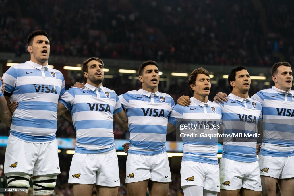 Wales v Argentina