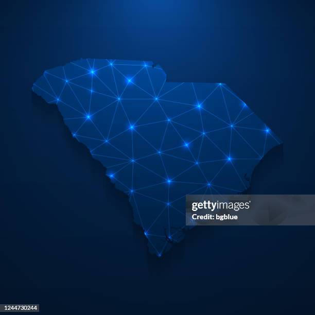 south carolina map network - bright mesh on dark blue background - us map points stock illustrations
