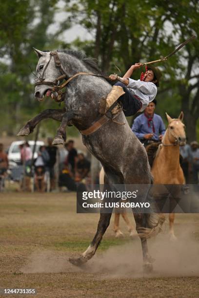 Gaucho rides a colt at a rodeo exhibition during the 83rd Tradition Festival in San Antonio de Areco, Argentina, on November 12, 2022. The...