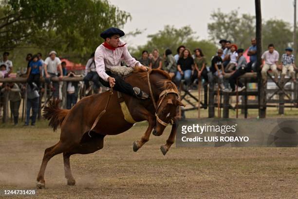 Gaucho rides a colt at a rodeo exhibition during the 83rd Tradition Festival in San Antonio de Areco, Argentina, on November 12, 2022. Riders in...
