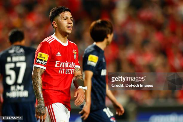 Enzo Fernandez of SL Benfica looks on during the Liga Portugal Bwin match between SL Benfica and Gil Vicente at Estadio do Sport Lisboa e Benfica on...
