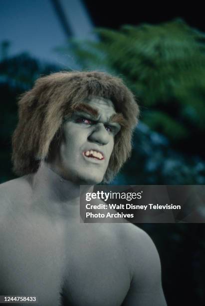 Los Angeles, CA Lou Ferrigno as the Incredible Hulk appearing on the ABC tv special 'Cheryl Ladd: Scenes from a Special'.