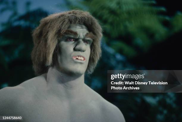 Los Angeles, CA Lou Ferrigno as the Incredible Hulk appearing on the ABC tv special 'Cheryl Ladd: Scenes from a Special'.