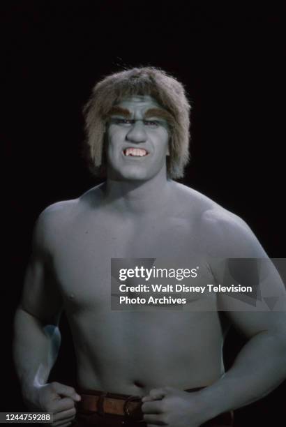 Los Angeles, CA Lou Ferrigno as the Incredible Hulk appearing on the ABC tv special 'Cheryl Ladd: Scenes from a Special'.