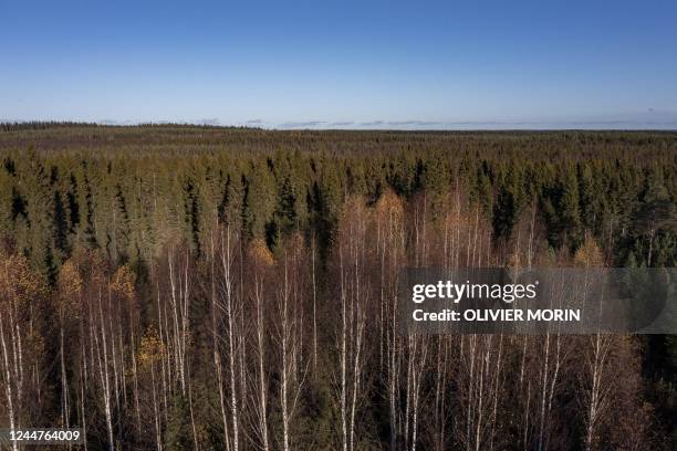 This aerial view shows the Boreal Forest, above The Arctic Circle in Finnish Lapland on October 6 where during the last 20 years Scandinavian Arctic...