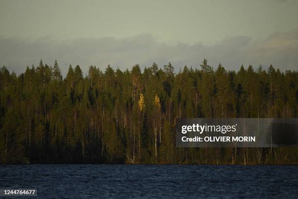 This general view shows the Boreal Forest, above The Arctic Circle in Finnish Lapland on October 6 where during the last 20 years Scandinavian Arctic...