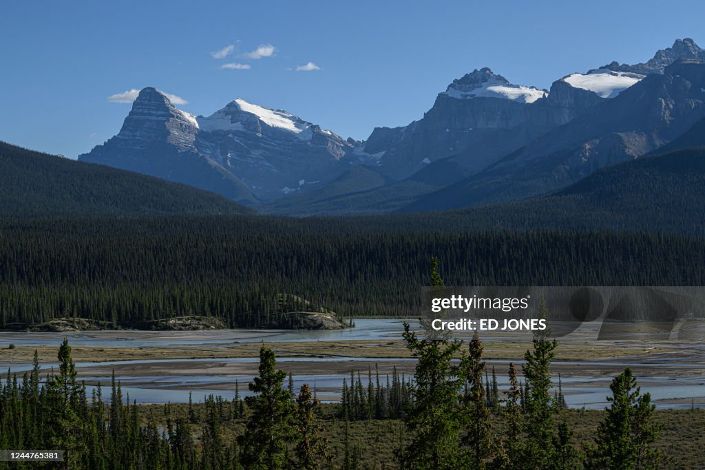 CANADA-ENVIRONMENT-CLIMATE-COP27-FORESTS