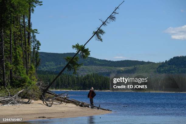 Canadian government ecologist and research scientist Louis De Grandpré looks up at a tilting tree on the shore of a lake in the Canadian boreal...