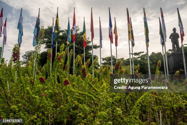 Flags of participating countries are displayed at Ngurah Rai airport ahead of the G20 Summit on November 14, 2022 in Denpasar, Indonesia. The G20...