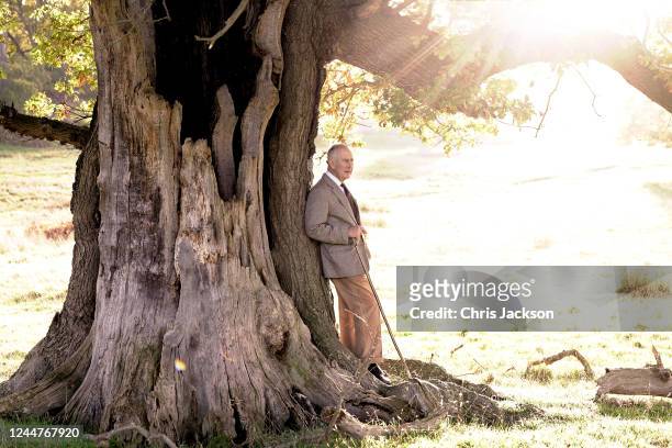 His Majesty King Charles III stands beside an ancient oak tree in Windsor Great Park to mark his appointment as Ranger of the Park, on November 11,...