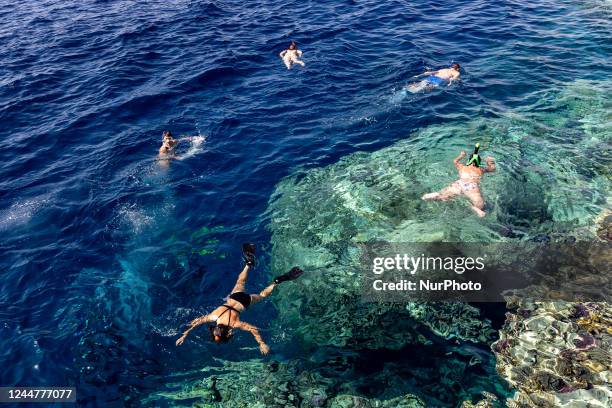 Tourist enjoy diving to watch corals in the resort town of Sharm El Sheikh on Red Sea coast in South Sinai, Egypt on November 14, 2022. Sharm El...