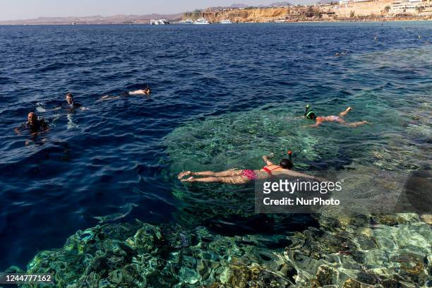 Tourist enjoy diving to watch corals in the resort town of Sharm El Sheikh on Red Sea coast in South Sinai, Egypt on November 14, 2022. Sharm El...