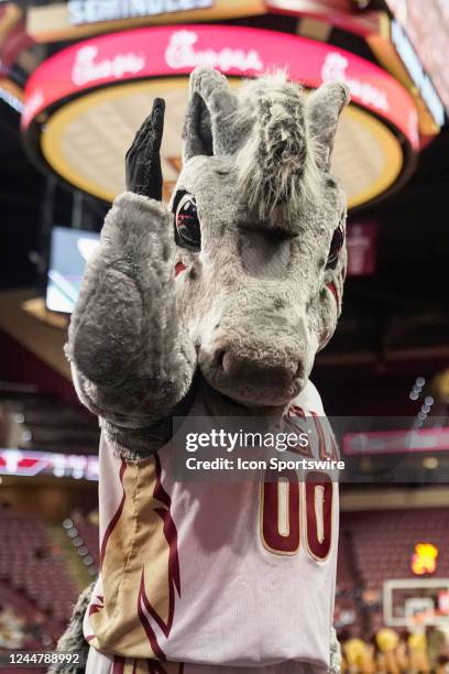 Florida State Seminoles mascot Cimmaron during a college basketball game against the Troy Trojans on Nov 14, 2022 at the Tucker Center in...