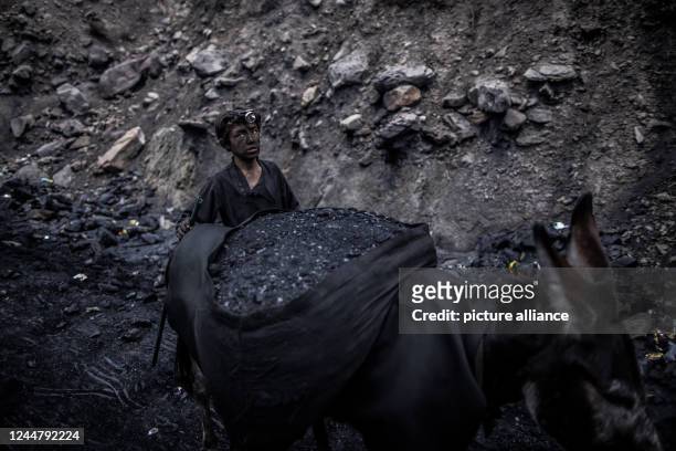 November 2022, Afghanistan, Chinarak: A boy who works as a miner leads a donkey laden with coal from an informal coal mine in Chinarak in...
