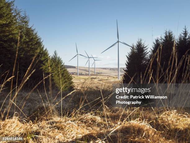 wind turbines on a wind farm in rural ulster, northern ireland. - northern ireland foto e immagini stock