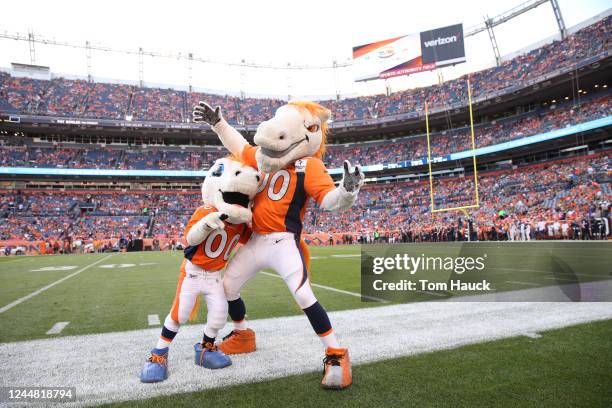 Denver Broncos mascot Miles in action during an NFL preseason game between the Green Bay Packers and Denver Broncos, Aug. 26 in Denver.