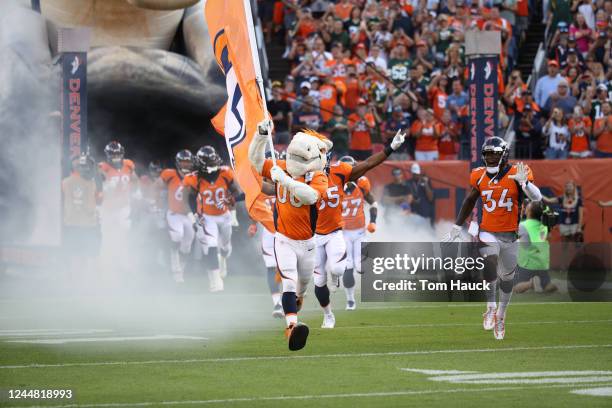 Denver Broncos mascot Miles in action during an NFL preseason game between the Green Bay Packers and Denver Broncos, Aug. 26 in Denver.