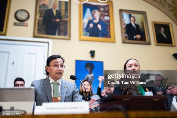 Chief Chuck Hoskin Jr., chief of the Cherokee Nation, and Mainon Schwartz, attorney at the Congressional Research Service, testify during the House...