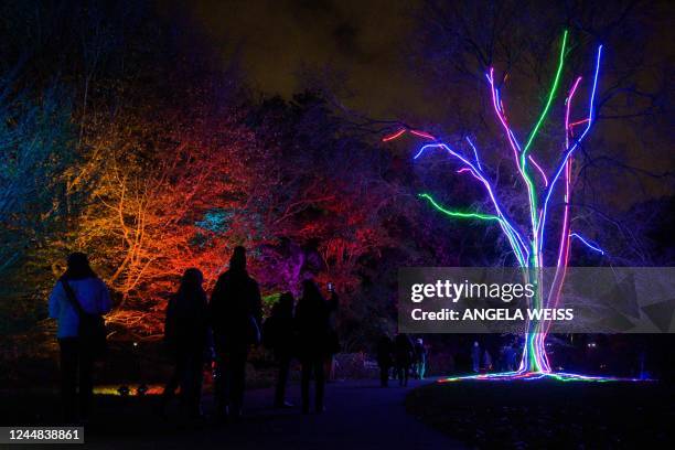 People walk around the holiday decoration exhibits during the Brooklyn Botanic Gardens Lightscape exhibition in New York City on November 16, 2022. -...