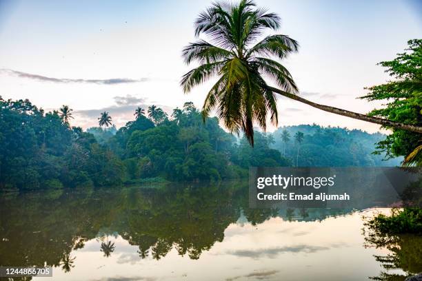 mahaweli river, kandy, sri lanka - kandy kandy district sri lanka fotografías e imágenes de stock