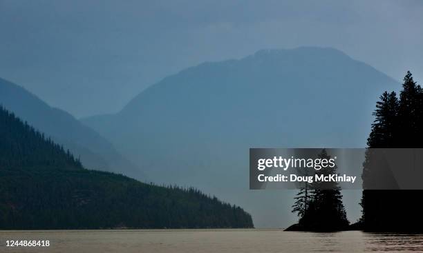 west coast, bc, canada - great bear rainforest stock pictures, royalty-free photos & images