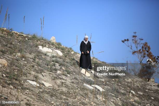 97 Rababa Stock Photos, High-Res Pictures, and Images - Getty Images