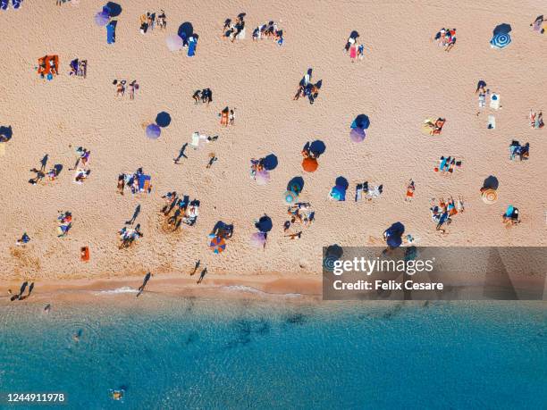 aerial top view of people sitting on a sandy beach - umbrellas from above photos et images de collection