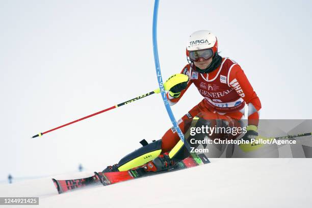 Zrinka Ljutic of Team Croatia in action during the Audi FIS Alpine Ski World Cup Women's Slalom on November 20, 2022 in Levi, Finland.