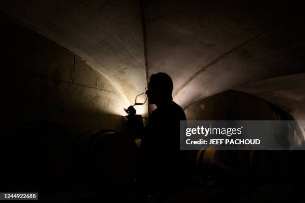 Person tastes the wines that will be sold during 162nd edition of the "Hospices de Beaune" charity auction wine sale in Beaune, central France, on...