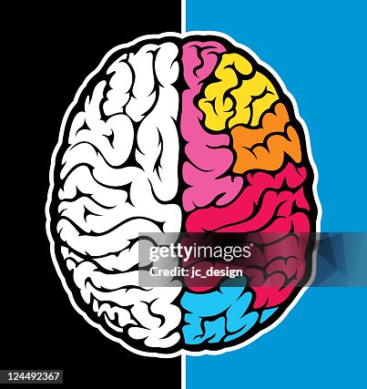 Right brain Right brain
