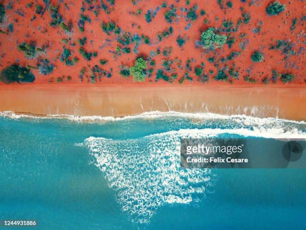 aerial top view of a bright orange sandy beach - australia stock-fotos und bilder
