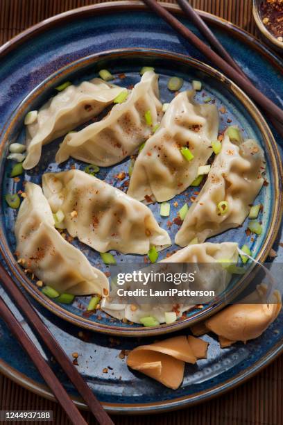 steamed dumplings with soy sauce and green onions - chinese dumpling stock pictures, royalty-free photos & images