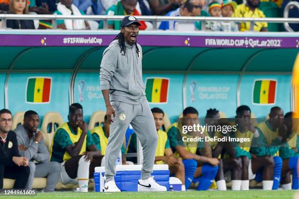 Head coach Aliou Cisse of Senegal looks on during the FIFA World Cup Qatar 2022 Group A match between Senegal and Netherlands at Al Thumama Stadium...