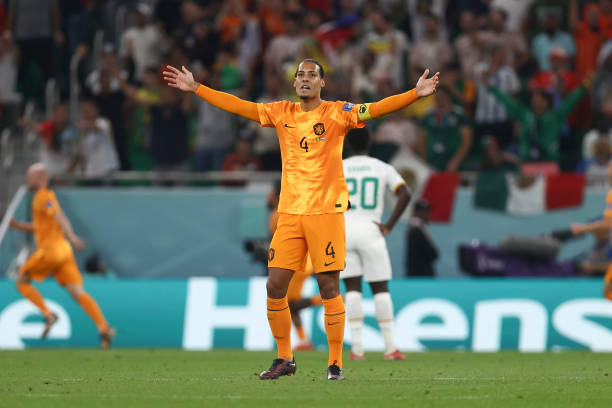 Virgil van Dijk of Netherlands celebrates after Cody Gakpo of Netherlands scores a goal to make it 0-1 during the FIFA World Cup Qatar 2022 Group A...