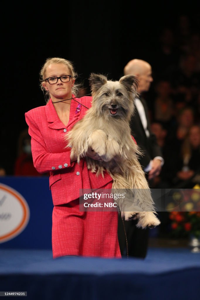 The National Dog Show Presented by Purina - Season 21