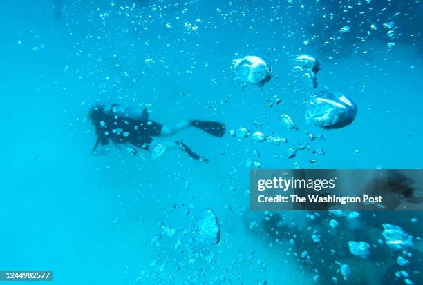 Scuba diver makes their way along the Great Barrier Reef on August 10, 2022 on Hastings Reef, Australia. Bleaching events and global warming have...