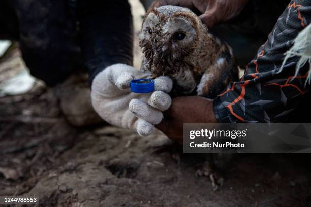 The Search and Rescue team, evacuate an Owl from the ruins of the destroyed house in Gasol village after the 5.6 earthquake shook a number of areas...