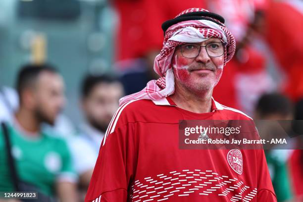 Denmark fan during the FIFA World Cup Qatar 2022 Group D match between Denmark and Tunisia at Education City Stadium on November 22, 2022 in Al...