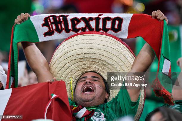 Fans and supporters of Mexico during the Group C - FIFA World Cup Qatar 2022 match between Mexico and Poland at Stadium 974 on November 22, 2022 in...
