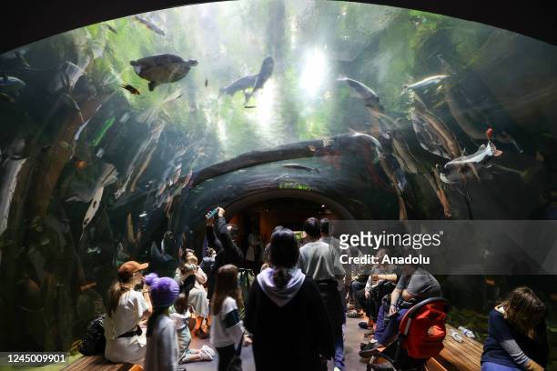 People visit the aquarium at the California Academy of Sciences in Golden Gate Park of San Francisco, California, United States on November 22, 2022.