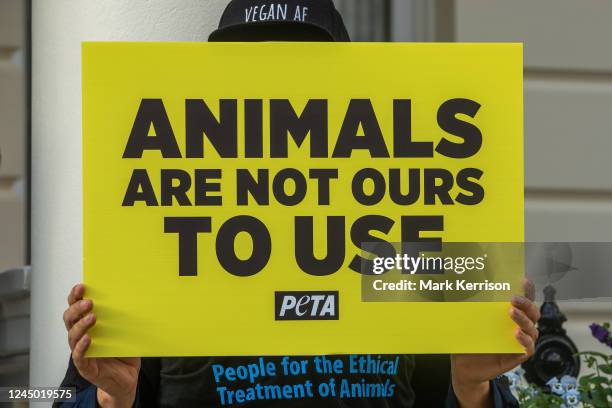 Peta Insect Sign 32 Peta Ambassador Stock Photos, High-Res Pictures, and Images - Getty ...