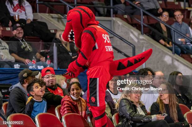 Riverside Raptors Rvc Mascot 13,146 Raptors Mascot Stock Photos, High-Res Pictures, and Images ...