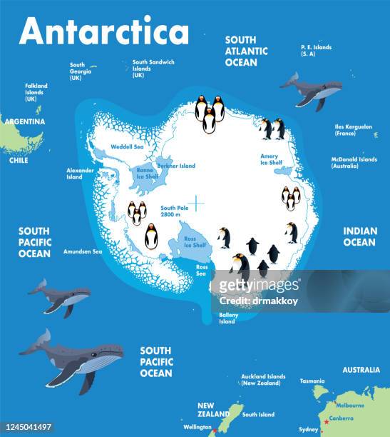 antarctica - antarctica whale stock illustrations