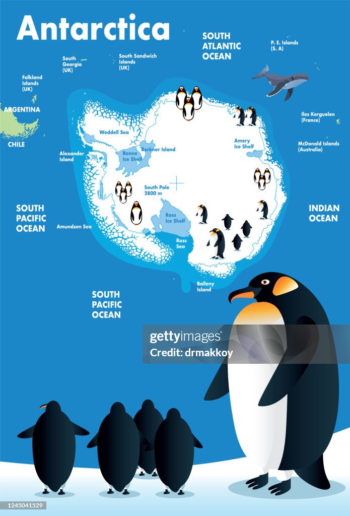 Antarctica Map and Penguin