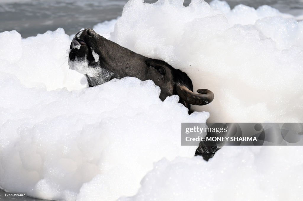 TOPSHOT-INDIA-ENVIRONMENT-POLLUTION